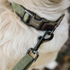 Picture of Freedog Linum Green Forest Dog Collar | Eco-Friendly & Adjus